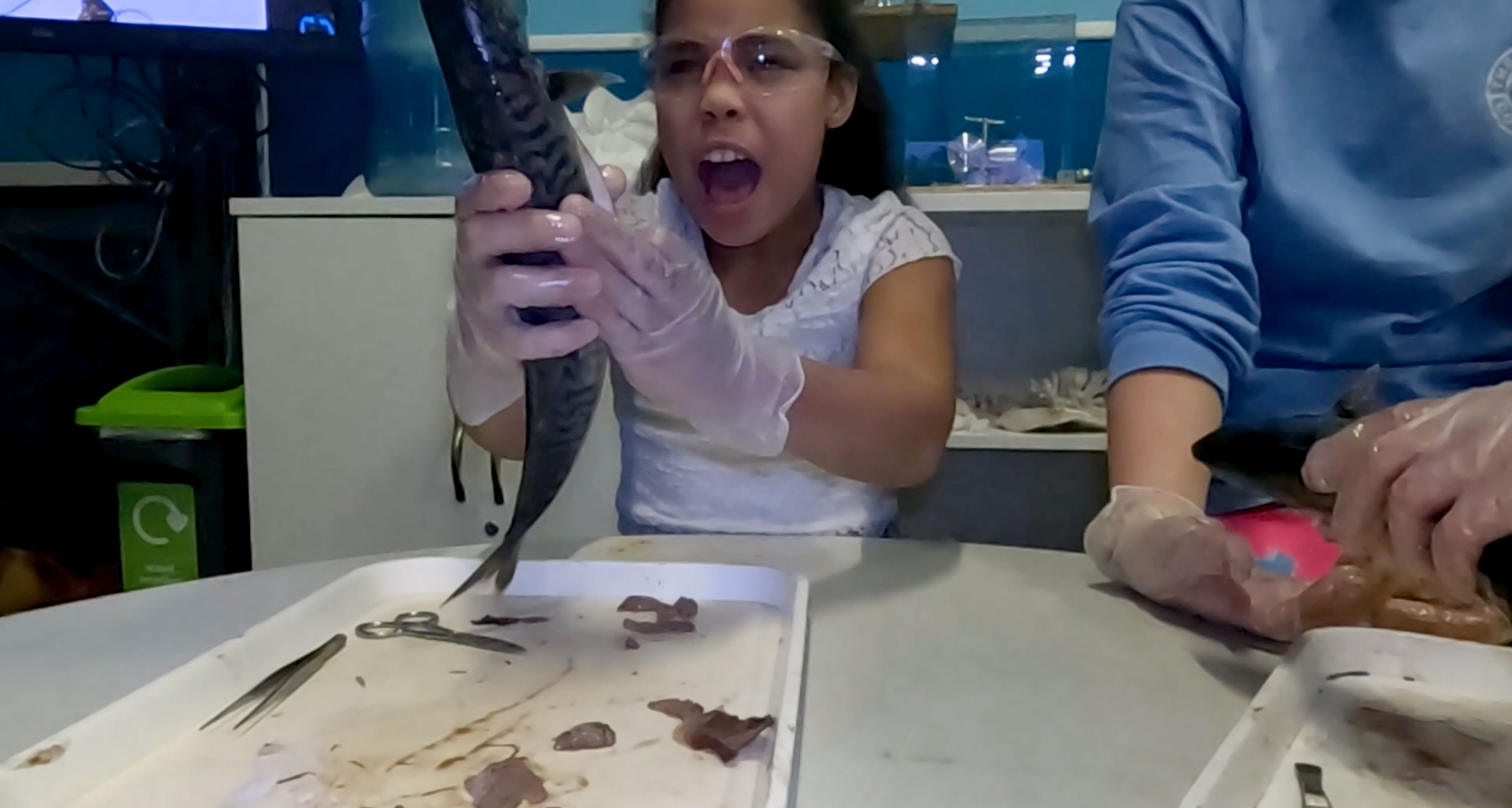 elliana-fish